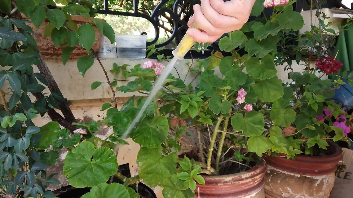 Agua en Tonalá